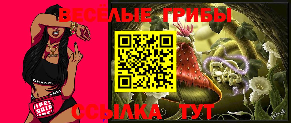 Галлюциногенные грибы MAGIC MUSHROOMS  Вход с VPN  Владивосток 